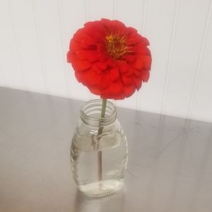 Meet your Posher, Rebecca